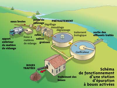 Académie des Sciences Alimentaires et Biologiques - Une question les jeunes  😉 Quelle sont les différences entre l'eau distillée, l'eau physiologique,  l'eau stérilisée Vous aurez besoin de ces informations au niveau des